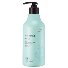 Flor de Man, Шампунь с кактусом Jeju Prickly Pear Hair Shampoo, 500 мл
